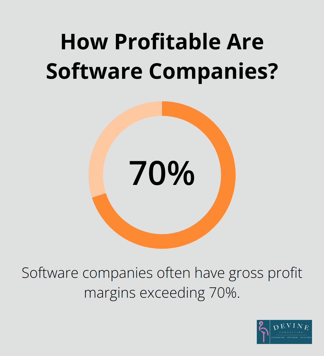 Infographic: How Profitable Are Software Companies? - types of financial analysis