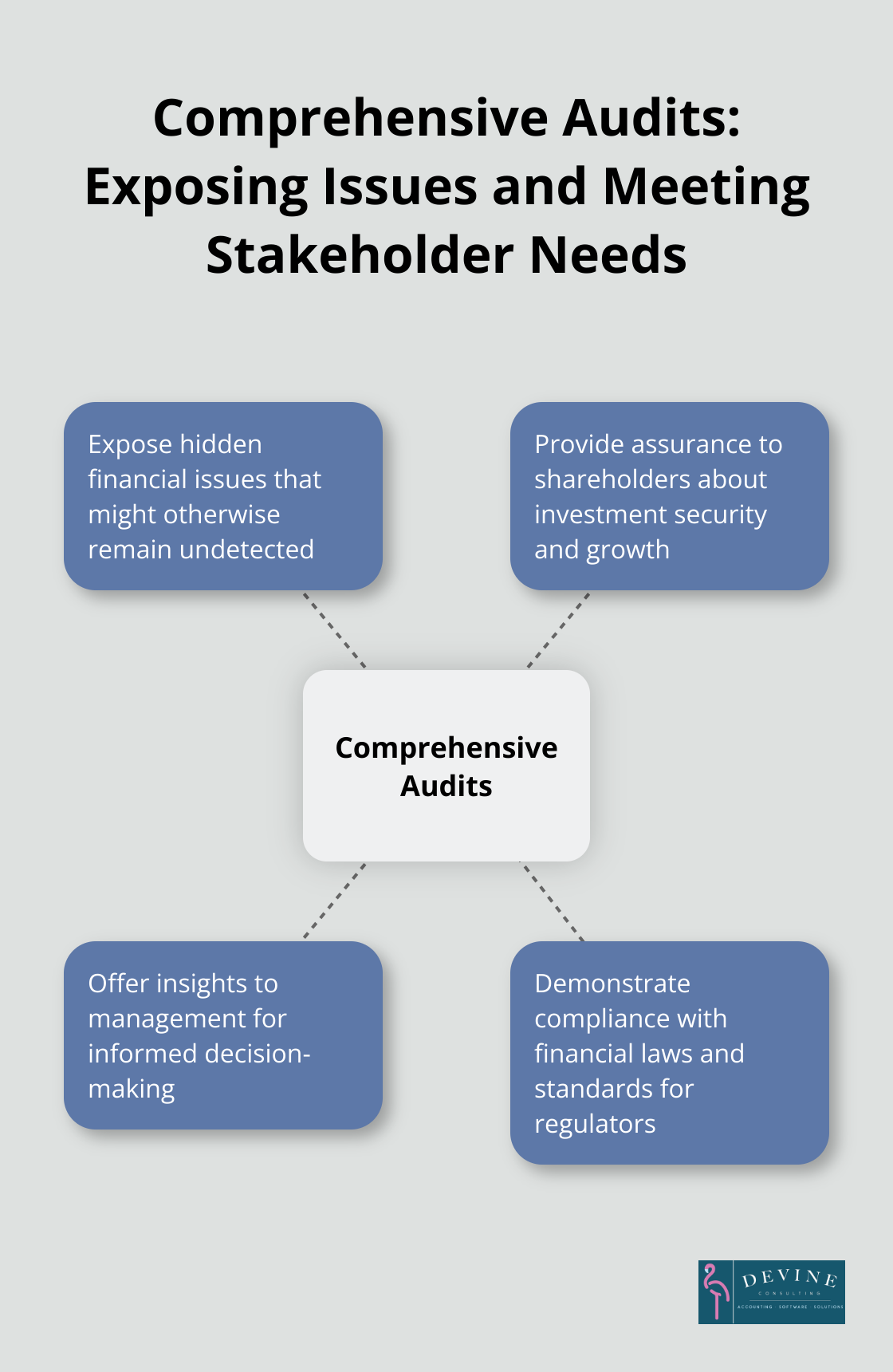Hub and spoke chart showing the central role of comprehensive audits in exposing hidden issues and meeting diverse stakeholder needs - finance audit report