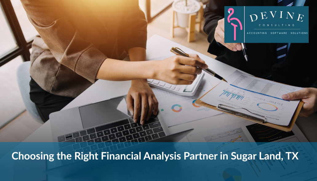 Choosing the Right Financial Analysis Partner in Sugar Land, TX | Devine Consulting