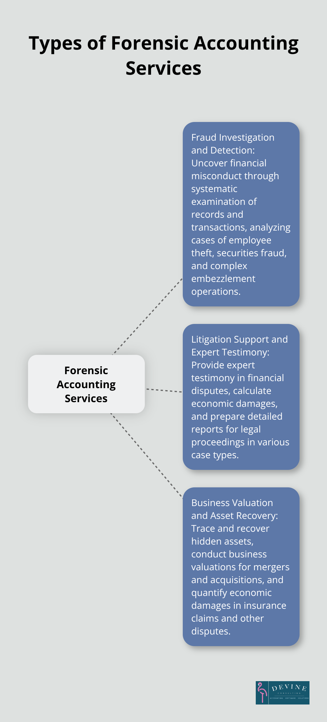 Hub and spoke chart illustrating the three main types of forensic accounting services: Fraud Investigation and Detection, Litigation Support and Expert Testimony, and Business Valuation and Asset Recovery.